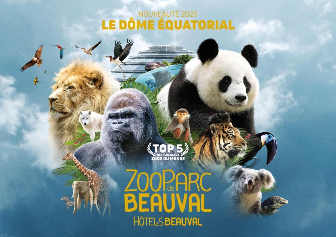 Le Chant Des Oiseaux, 3Km Du Zoo De Beauval, Parking Gratuit ,Wifi Et Netflix Gratuits Saint-Aignan  Eksteriør billede